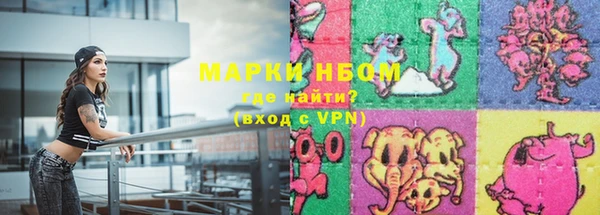 дмт Пересвет